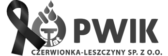 Przedsiębiorstwo Wodociągów i Kanalizacji